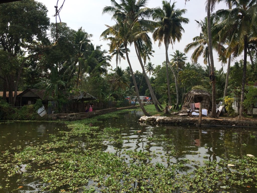 Views while kayaking in Alleppey, Kerala (India).... Who needs alcohol when you have energy from nature :)