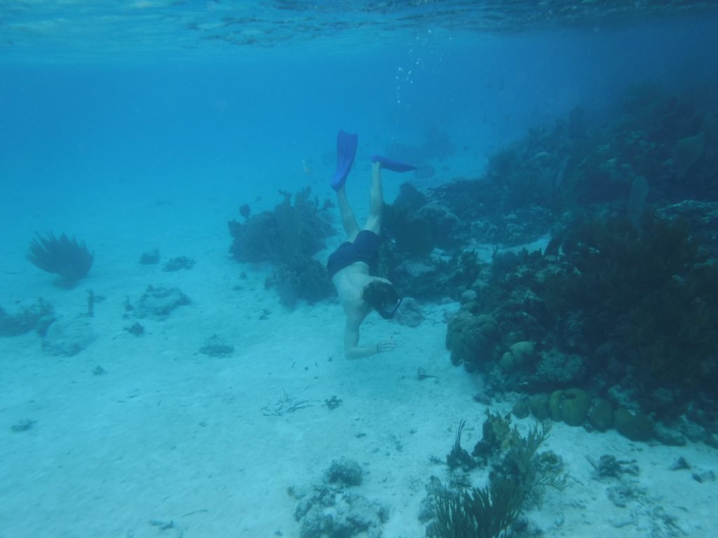 Scuba diving in belize